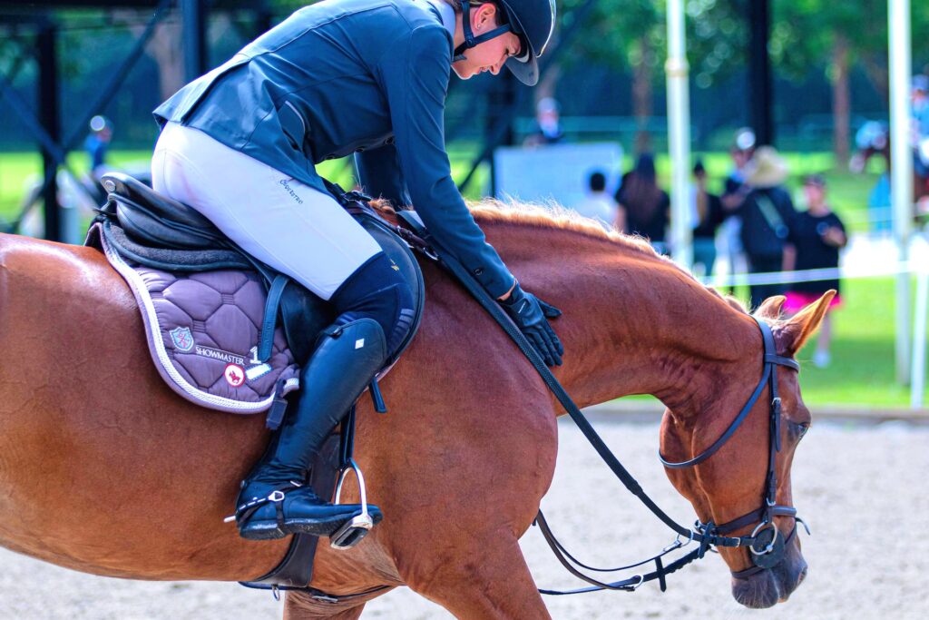 vk-equestrian-services-18