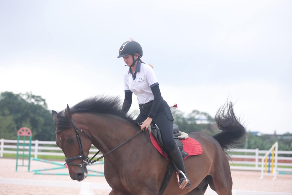 vk-equestrian-services-27