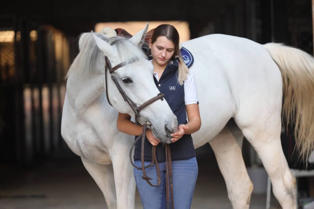 vk-equestrian-services-35